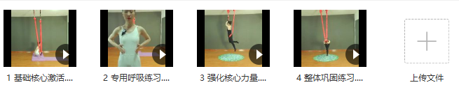 匡岚空中瑜伽之核心力量练习,课程,基础,力量,第2张