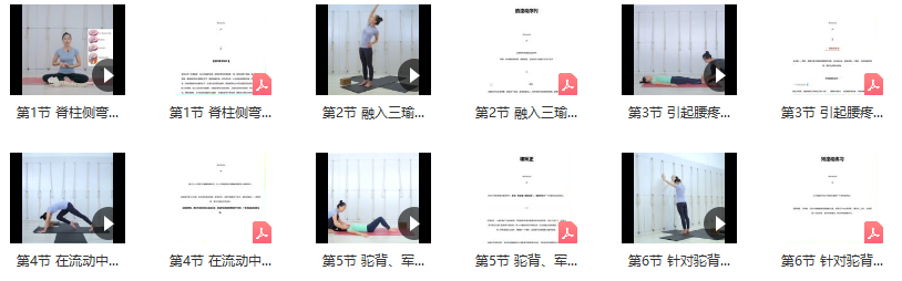 瑜伽理疗矫正之脊柱篇系列课 视频+笔记 赵艳娟,课程,视频,笔记,第2张