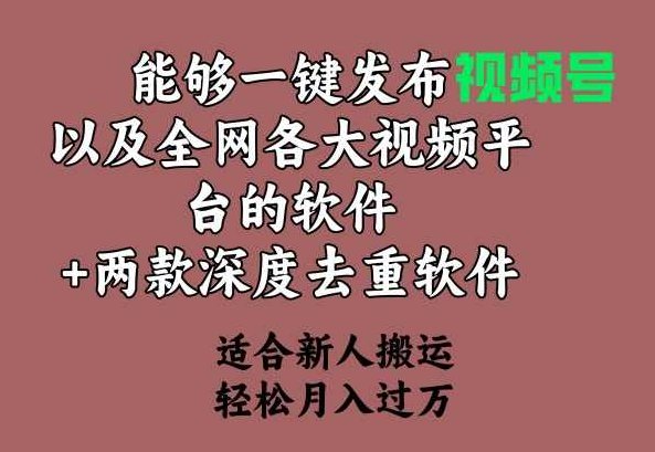 能够一键发布视频号以及全网各大视频平台的软件+两款深度去重软件 适合...,视频,抖音,小红书,第1张