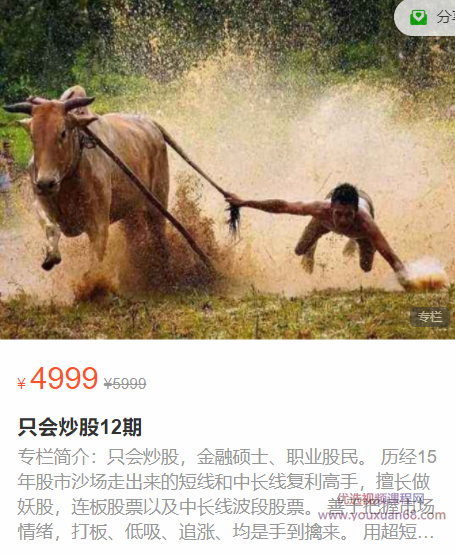 只会炒股12期【完结】,课程,教程,第1张