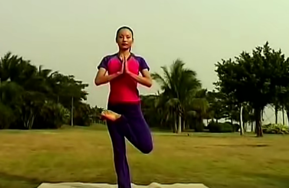 瑜伽初级入门视频,课程,视频,初级,第1张