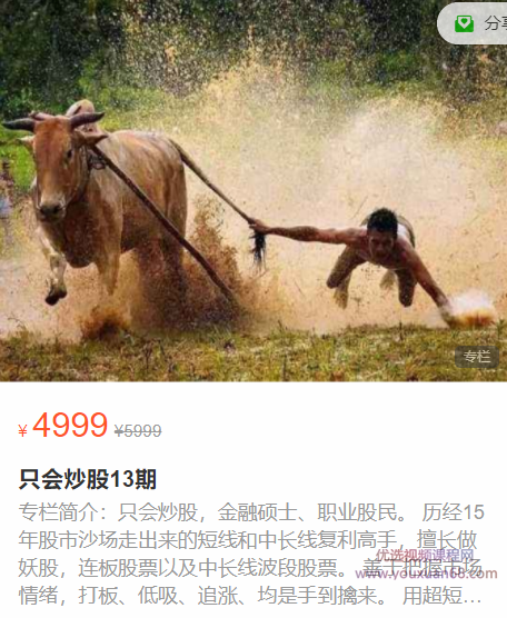 只会炒股13期,课程,教程,第1张