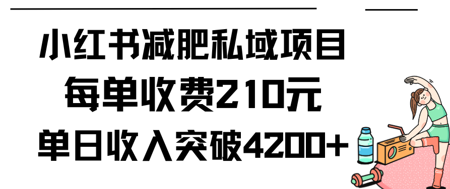 小红书减肥私域项目每单收费210元单日成交20单，最高日入4200+,课程,小红书,减肥,第1张