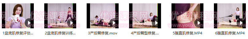 陈冬梅 产后修复之普拉提器械,课程,评估,计划,第2张