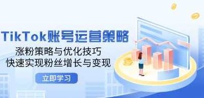 《TikTok账号运营策略》涨粉策略与优化技巧,快速实现粉丝增长与变现,基础,策略,战略,第1张 《TikTok账号运营策略》涨粉策略与优化技巧,快速实现粉丝增长与变现,基础,策略,战略,第1张