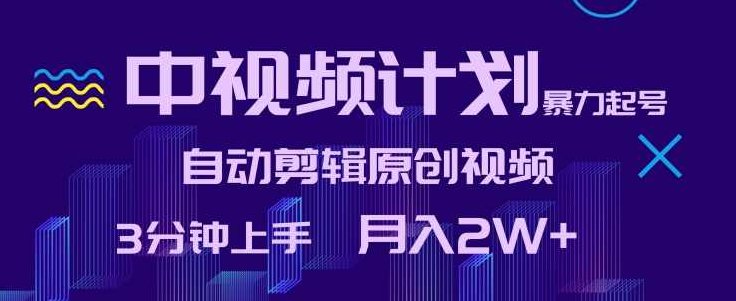 中视频计划暴力起号，自动剪辑原创视频，3分钟上手，月入2W+【揭秘】,视频,制作,揭秘,第1张