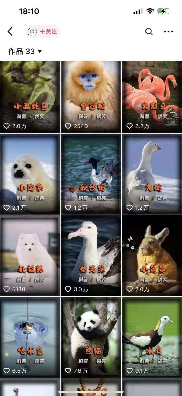 动物科普解说项目，撸创作者伙伴计划收益，保姆级实战教程,教程,基础,教学,第2张