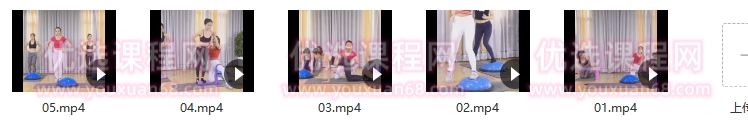 刘希芳大弟子大宝 维秘波速球大全有氧套路精品课,课程,教学,力量,第2张