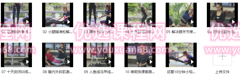 刘希芳 维秘十天封闭式训练营,课程,视频,教学,第2张