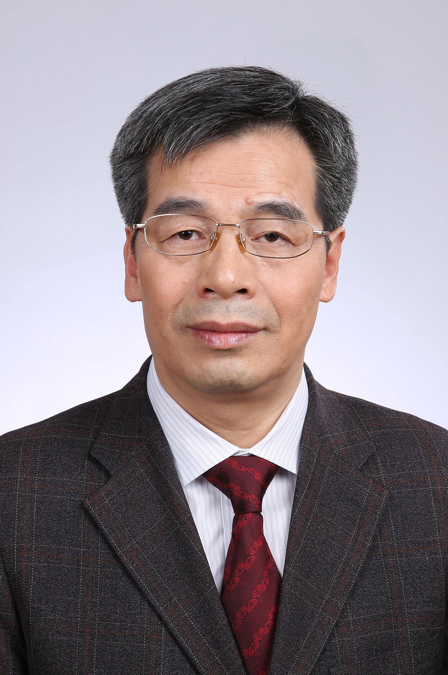 专家团 市场的逻辑与转型期的中国经济,专家,专家团,中国经济,第1张