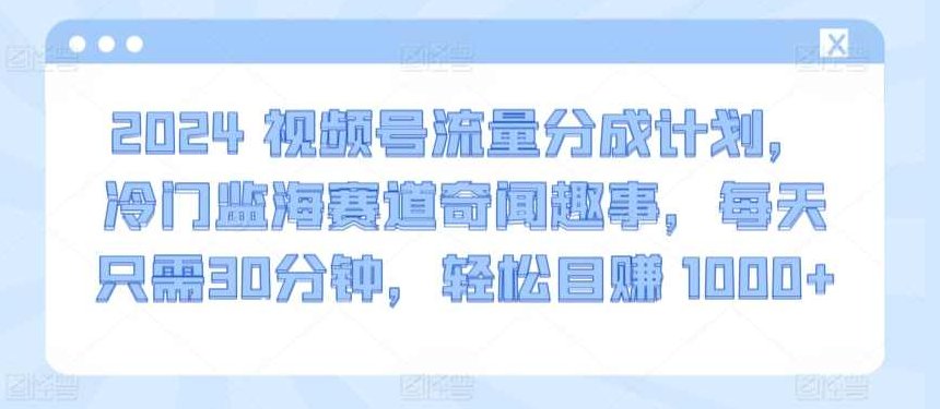 2024视频号流量分成计划，冷门监海赛道奇闻趣事，每天只需30分钟，轻松目赚 1000+【揭秘】,视频,教程,揭秘,第1张