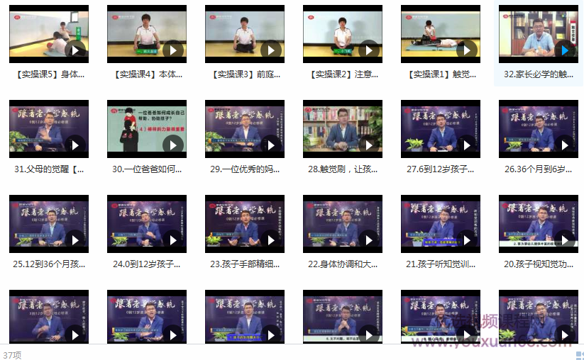 32节课系统学习儿童感统训练课程-宝宝感统失调培训教学视频全集(理论+实操),课程,视频,教程,第2张