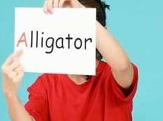 幼儿启蒙英语课程（视频+音频）（字母故事+英文绘本+字母游戏）,课程,视频,故事,第1张