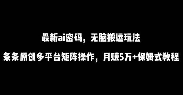 最新ai流量密码，傻瓜式搬运玩法，条条原创，多平台矩阵操作，月赚5万+保姆式教程【揭秘】,课程,视频,教程,第1张