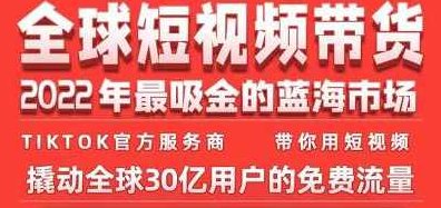 TikTok海外短视频带货训练营，全球短视频带货2022年最吸金的蓝海市场,课程,视频,2022,第1张