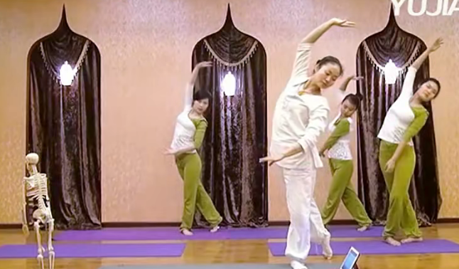 舞韵瑜伽视频 10节,课程,视频,欣赏,第1张 舞韵瑜伽视频 10节,课程,视频,欣赏,第1张