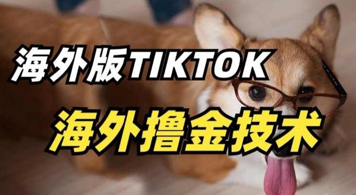 抖音海外版tiktok撸金技术，这个风口行业，赚钱真的不难【揭秘】,课程,视频,教程,第1张