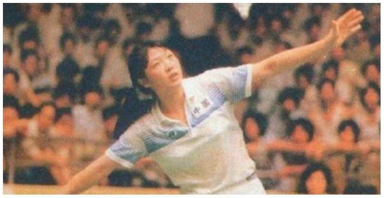 李玲蔚 羽毛球轻松入门,演讲,教学,掌握,第1张