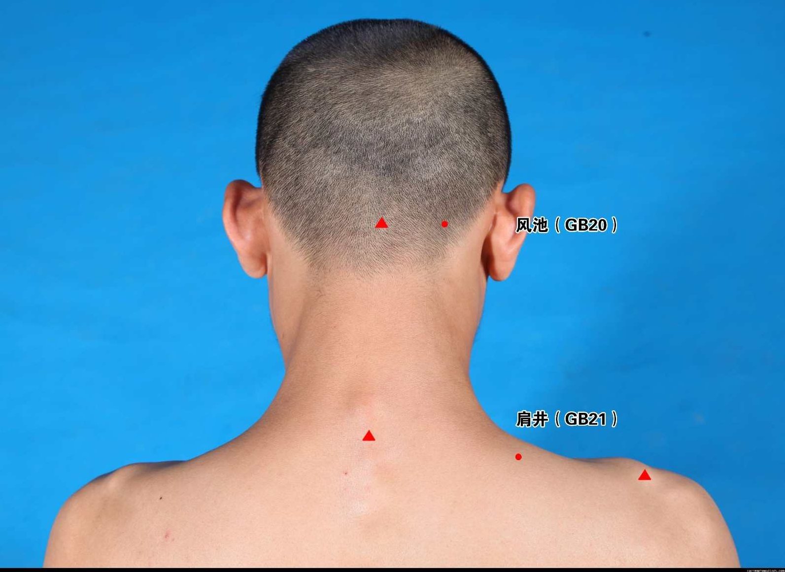 百年程氏养生经,百年程氏,养生经,健康养生,第1张