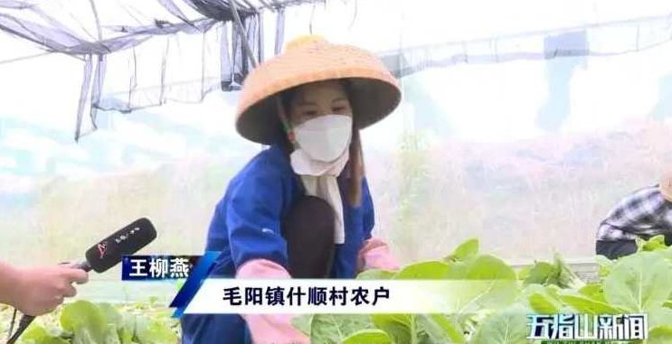 毛晓农 企业家养生之道,讲座,成功,发展,第1张 毛晓农 企业家养生之道,讲座,成功,发展,第1张