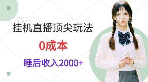 挂机直播顶尖玩法，睡后日收入2000+、0成本，视频教学,视频,教程,教学,第1张