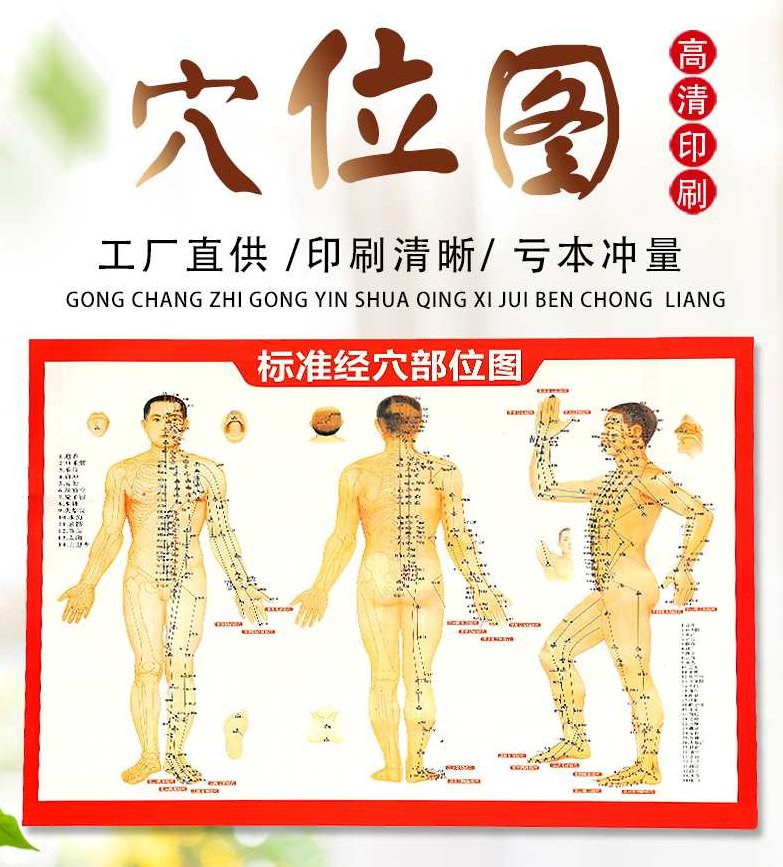 人体穴位 清晰彩图,人体穴位,清晰彩图,穴位图解,第1张 人体穴位 清晰彩图,人体穴位,清晰彩图,穴位图解,第1张