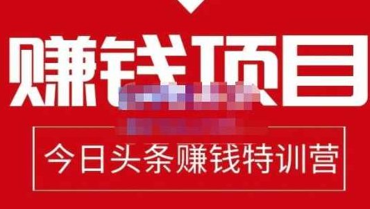 懒人领域·今日头条项目玩法，头条中视频项目，单号收益在50—500可批量,课程,视频,教程,第1张