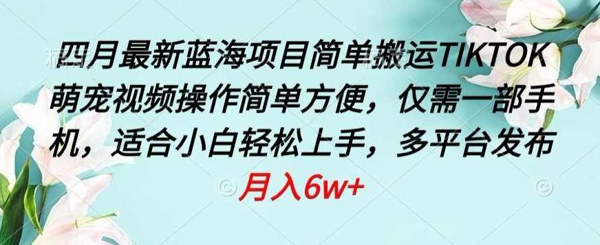 四月最新蓝海项目，简单搬运TIKTOK萌宠视频，操作简单方便，仅需一部手机【揭秘】,视频,制作,揭秘,第1张