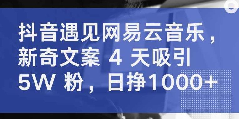 抖音遇见网易云音乐,新奇文案 4 天吸引 5W 粉,日挣1000+【揭秘】,抖音,揭秘,挑战,第1张 抖音遇见网易云音乐,新奇文案 4 天吸引 5W 粉,日挣1000+【揭秘】,抖音,揭秘,挑战,第1张