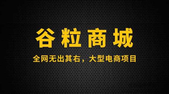 Java大型电商项目 谷粒商城 (对标阿里P6 P7 剑指40-60W),课程,视频,基础,第1张 Java大型电商项目 谷粒商城 (对标阿里P6 P7 剑指40-60W),课程,视频,基础,第1张
