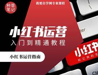 运营入门到精通课程 手把手教你做运营,课程,基础,设计,第1张