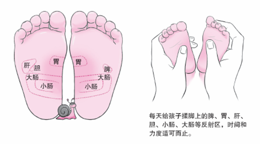 杨奕 向你解答足部养生之道,养生之道,第1张