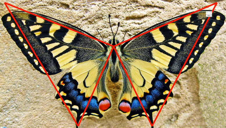 无为课堂裕八方鬼推磨之蝴蝶战法,课程,第1张