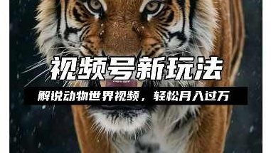 利用动物世界解说视频，赚分成计划收益，轻松月入过W，操作简单【揭秘】,视频,故事,揭秘,第1张