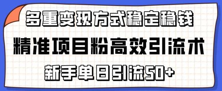 精准项目粉高效引流术，新手单日引流50+，多重变现方式稳定赚钱【揭秘】,赚钱,揭秘,掌握,第1张