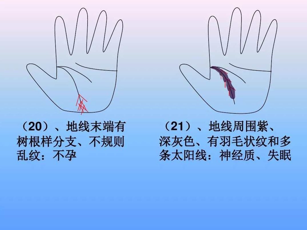 王大有-《掌纹诊病实用图谱 》扫描·版（PDF)非视频,视频,第1张