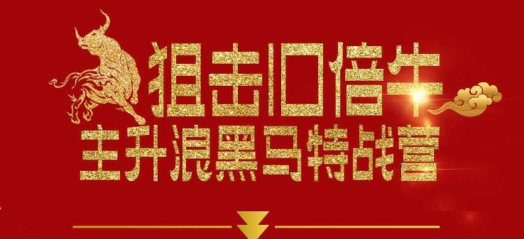 【一刀战法】刀哥主升浪黑马特战营,课程,教程,股票,第1张