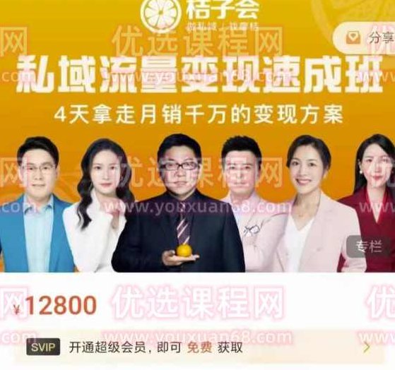 桔子会·私域流量变现速成班，4天拿走月销千万的变现方案 价值12800元,课程,视频,第1张