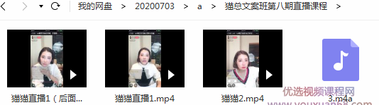 猫总文案班第八期直播课程,课程,教程,第2张