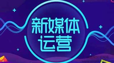 新媒体运营p1、p2全套课程,课程,秘诀,价值,第1张