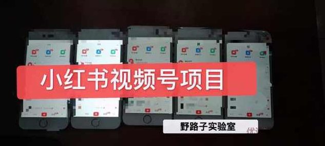 野路子实验室小红书视频号1.0项目，直接上手操作就能赚钱的视频号项目,课程,视频,研究,第1张