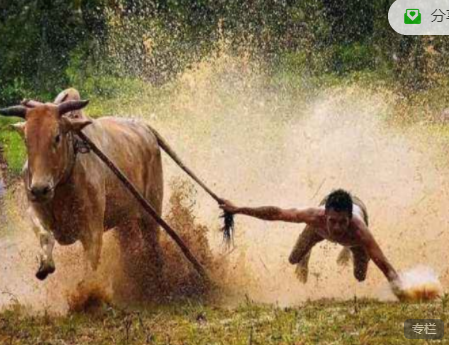 股哥训练营 只会炒股第17期,视频,训练营,价值,第1张