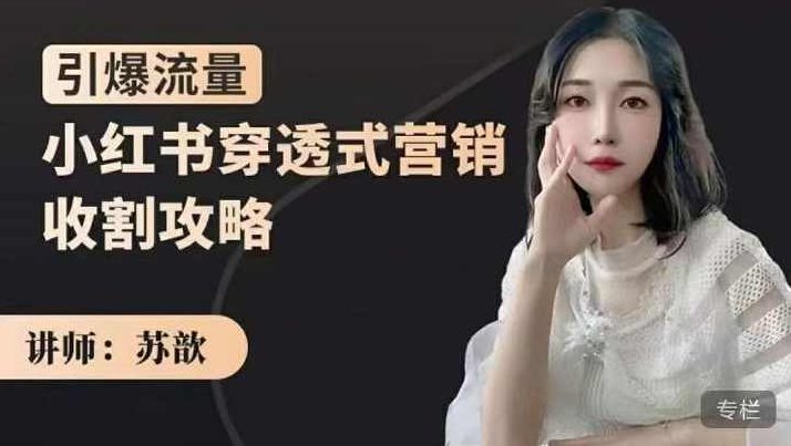 苏歆：小红书穿透式营销收割攻略，引爆流量，助你玩转小红书,课程,指南,小红书,第1张