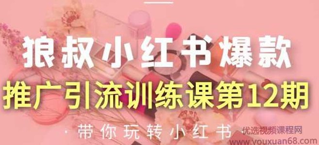 狼叔小红书爆款推广引流训练课第12期，手把手带你玩转小红书,课程,教程,第1张