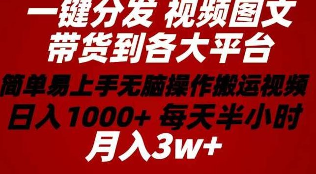 2024年一键分发带货图文视频 简单易上手 无脑赚收益 每天半小时日入1000+上不封顶！【项目拆解】,视频,2024年,项目拆解,第1张