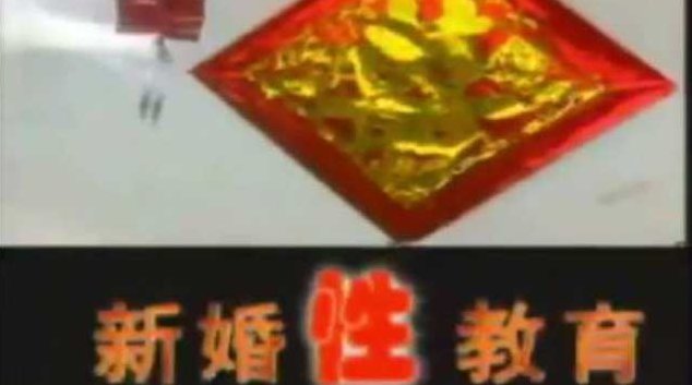 《科教专题片-新婚指南》献给在新年结婚的年轻人的新年礼物,指南,年轻人,第1张