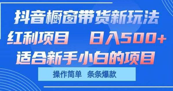 抖音橱窗带货新玩法，单日收益几张，操作简单，条条爆款【项目拆解】,课程,抖音,介绍,第1张