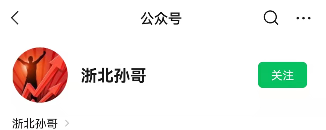 浙北孙哥《顺势为王实战课》,视频,第1张