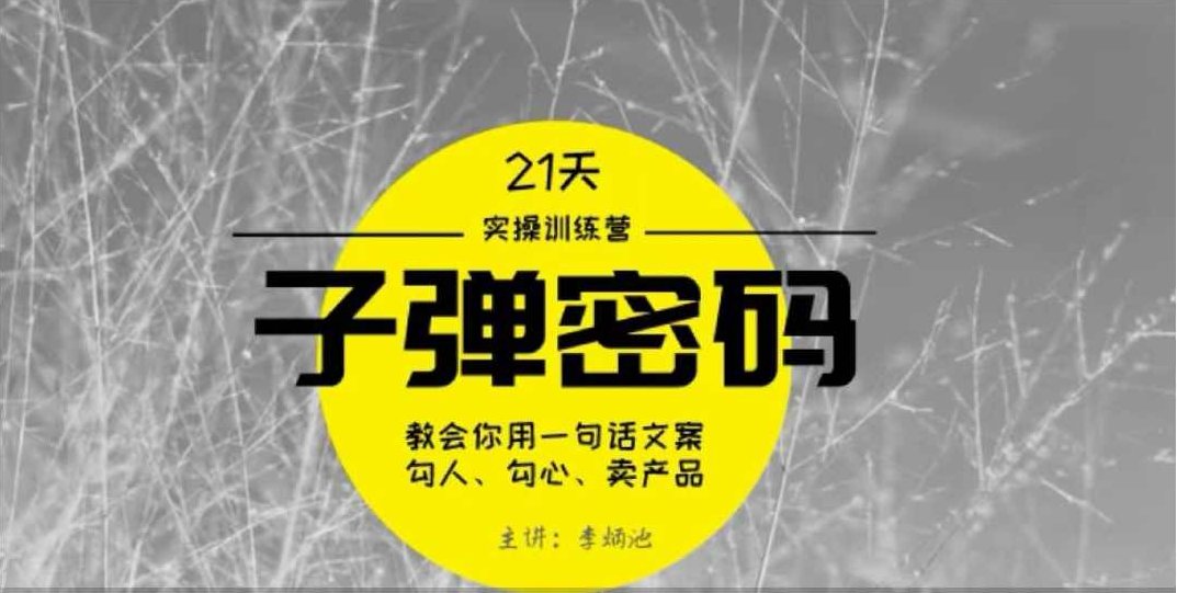 李炳池-21天《子弹秘密》训练营 21天学到顶尖文案大师的策略和技巧,课程,研究,训练营,第1张