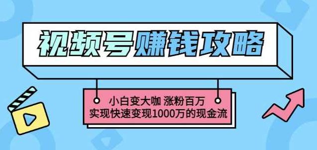 玩转微信视频号赚钱:小白变大咖涨粉百万实现快速变现1000万的现金流,课程,视频,第1张 玩转微信视频号赚钱:小白变大咖涨粉百万实现快速变现1000万的现金流,课程,视频,第1张